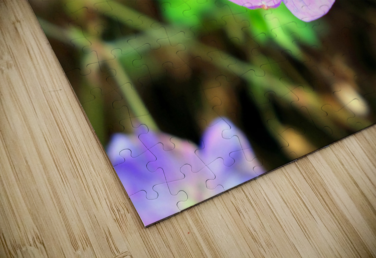 Flower Bloom 8 Click4Pix Puzzle