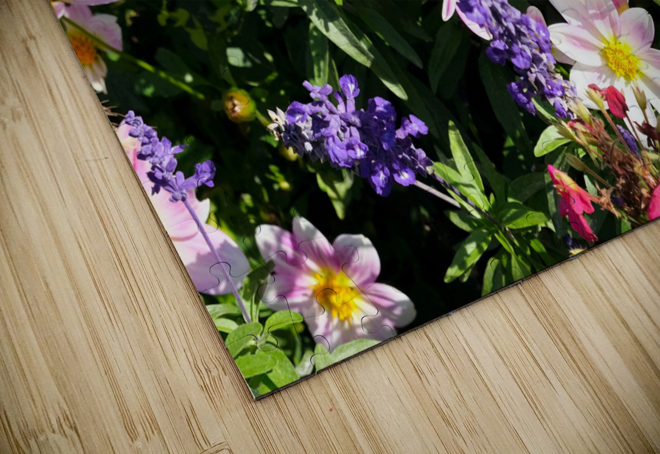 Blushing Petals 2 Click4Pix Puzzle