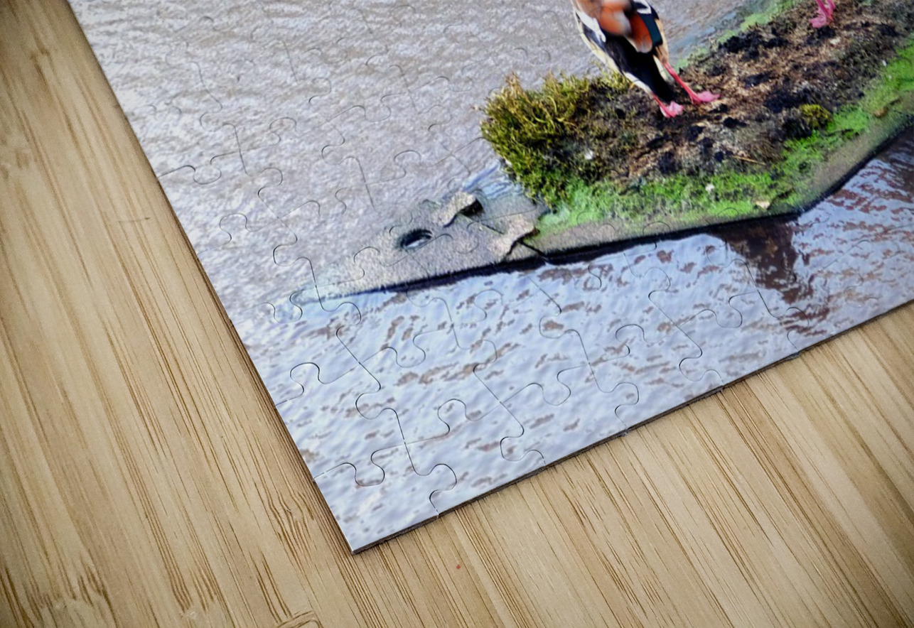 In Living Color Ducks Click4Pix Puzzle