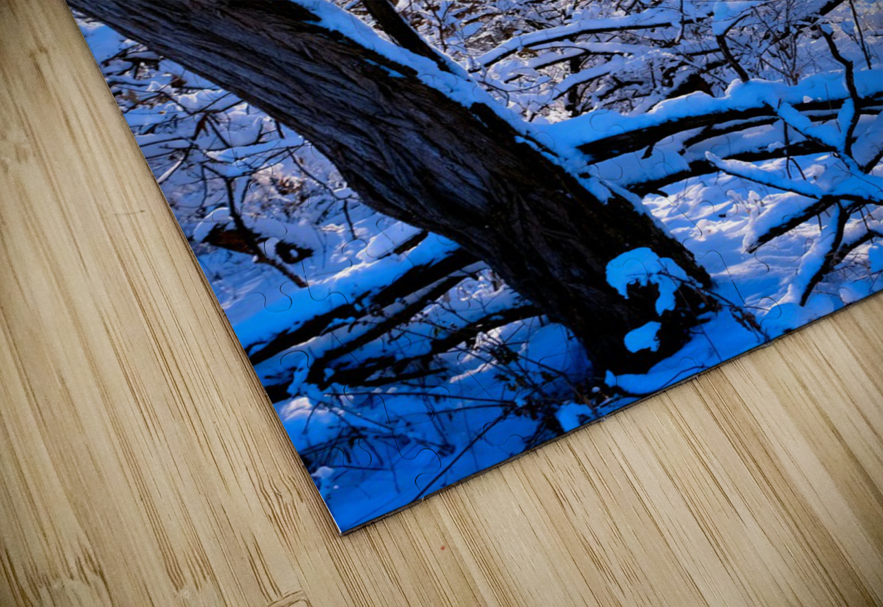 Frozen Limbs 3 Click4Pix Puzzle