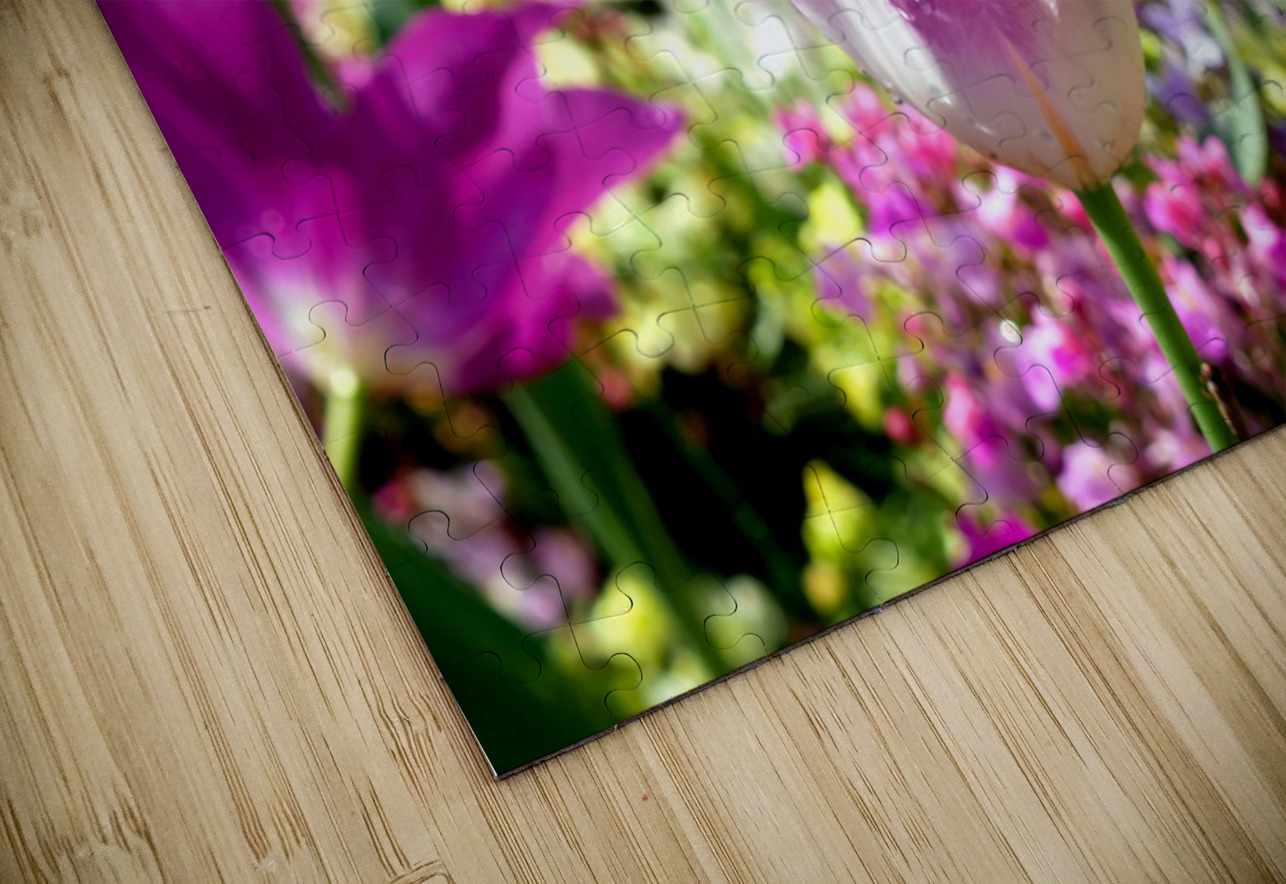 Tulips Are Better Than One 2 Click4Pix Puzzle