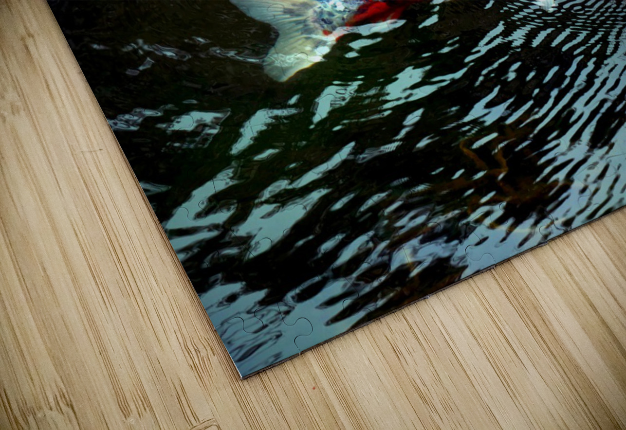 Playful Koi 2 Click4Pix Puzzle