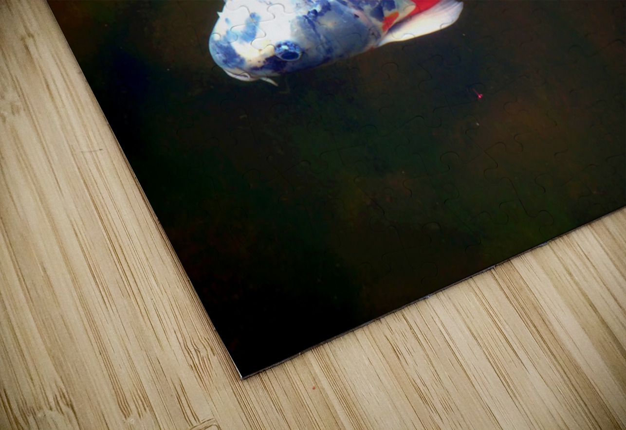 An American Koi Story Click4Pix Puzzle