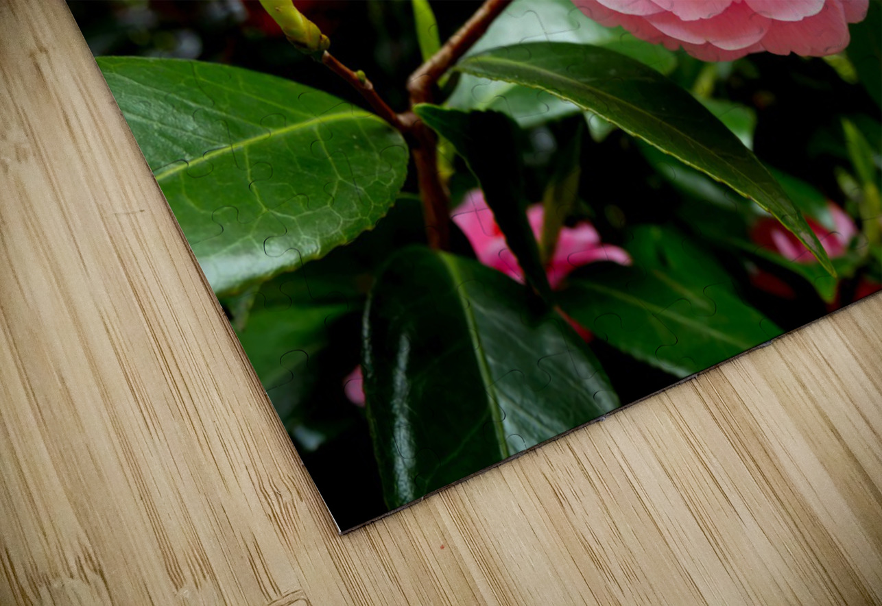 Blooms of Joy 1B Click4Pix Puzzle