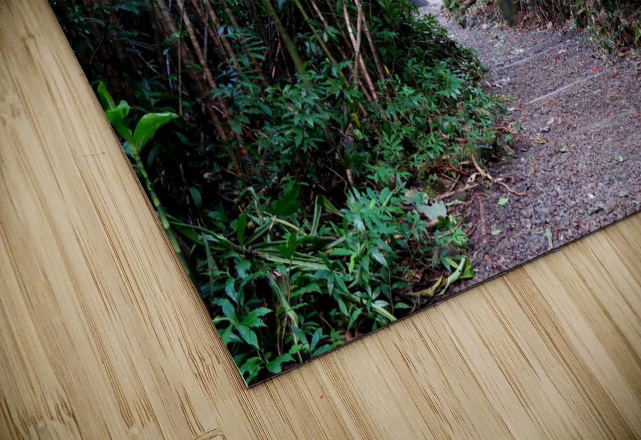 Hiking Hawaii Click4Pix Puzzle