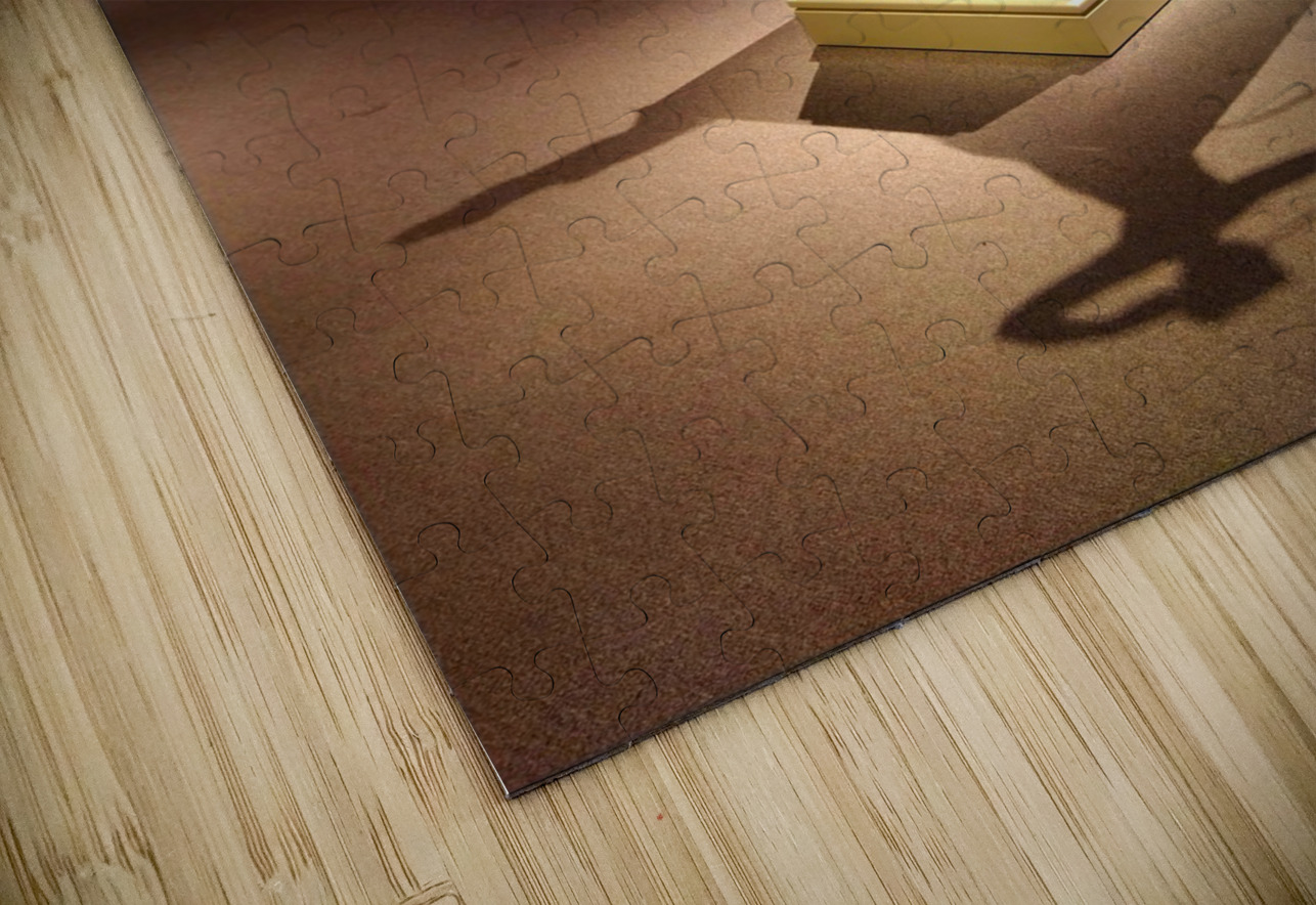 Museum Reflections 5 Click4Pix Puzzle