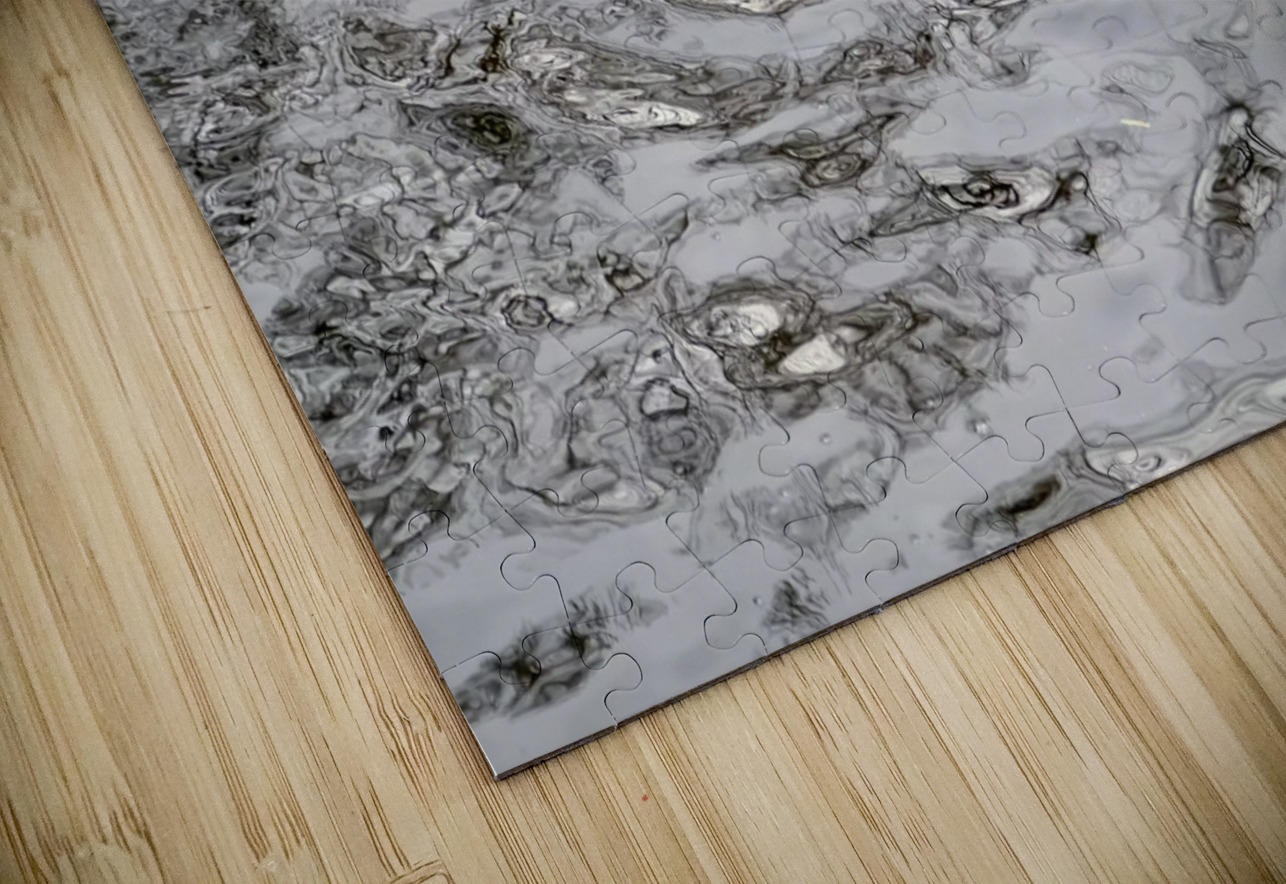 Only The Lonely Loon 1B Click4Pix Puzzle