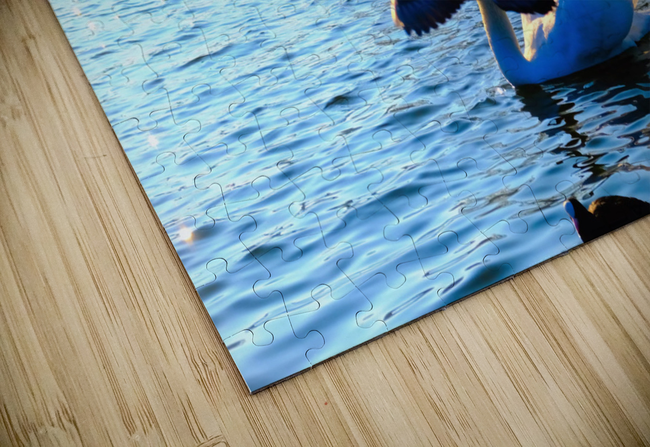 Pigeon-bombed Swan Click4Pix Puzzle