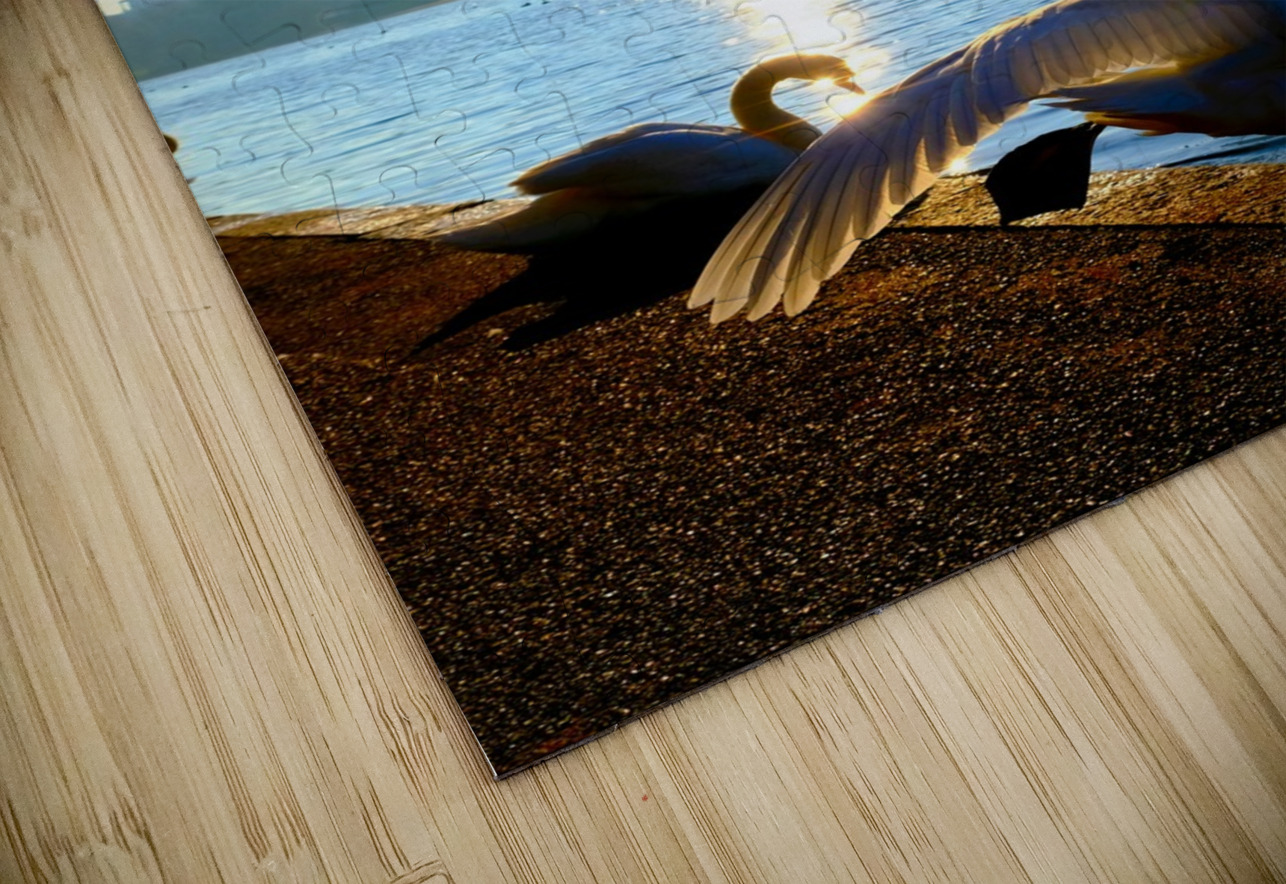 Swan Yoga Morning Stretch Click4Pix Puzzle