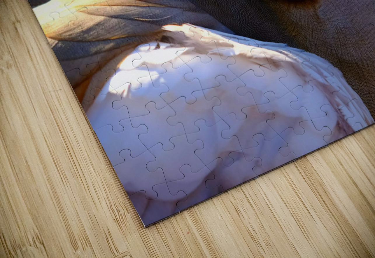 Duck Face 1B Click4Pix Puzzle