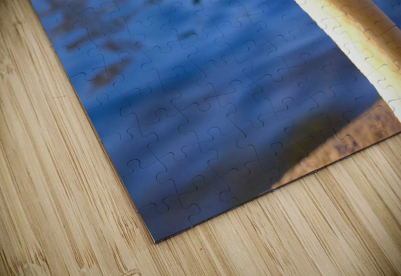 Graceful Swan by the River Click4Pix Puzzle