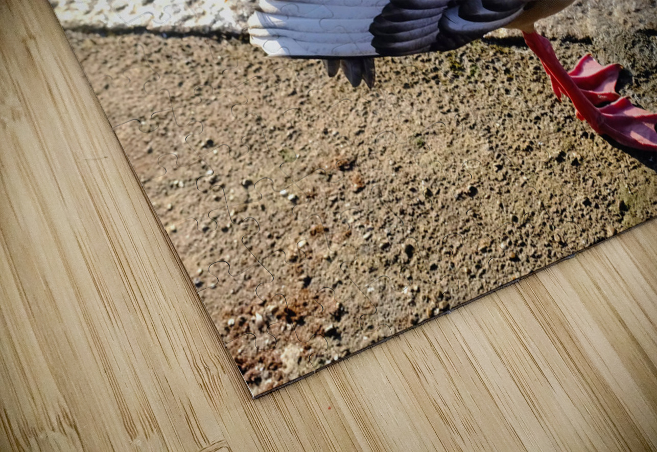 Graceful Pause Click4Pix Puzzle