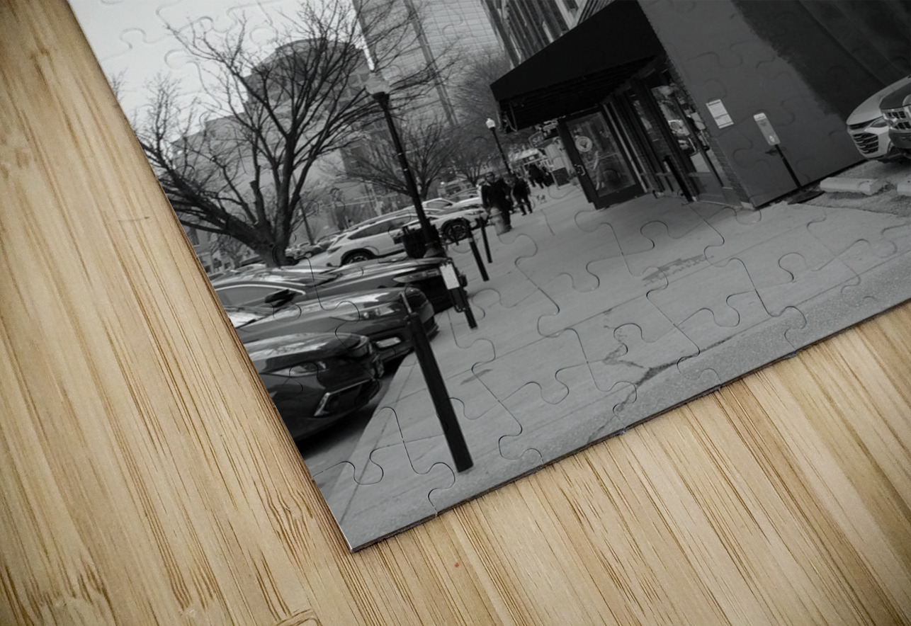 Shadow of Mari Evans Black and White Click4Pix Puzzle