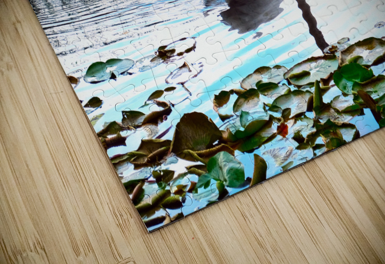 Silent Glide Click4Pix Puzzle