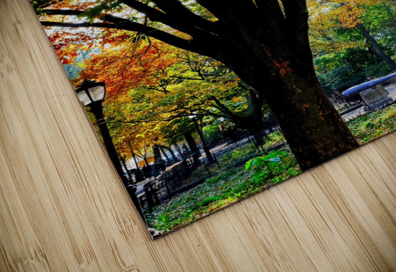 A Stroll in Color Click4Pix Puzzle