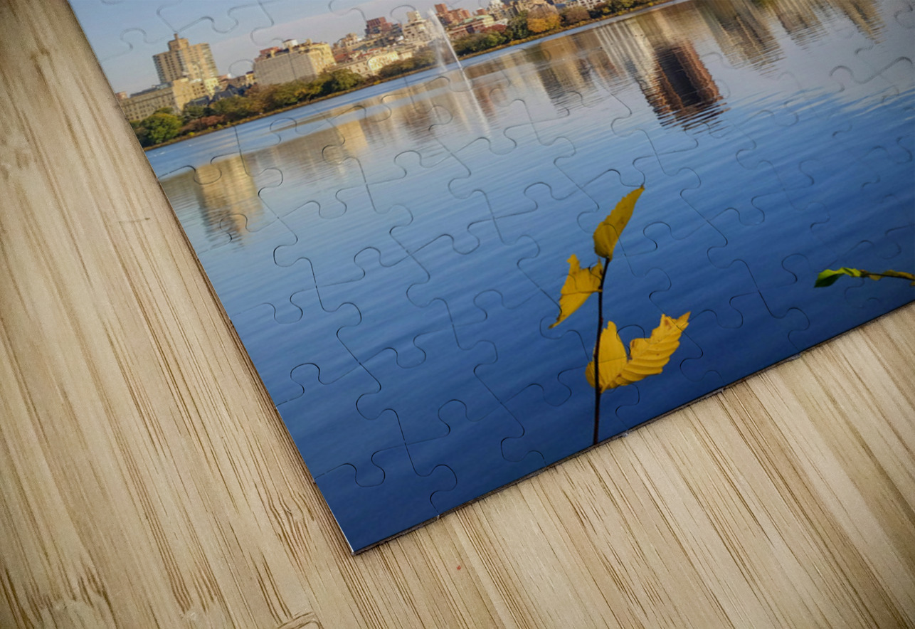 Framed Reflections – Central Park Click4Pix Puzzle