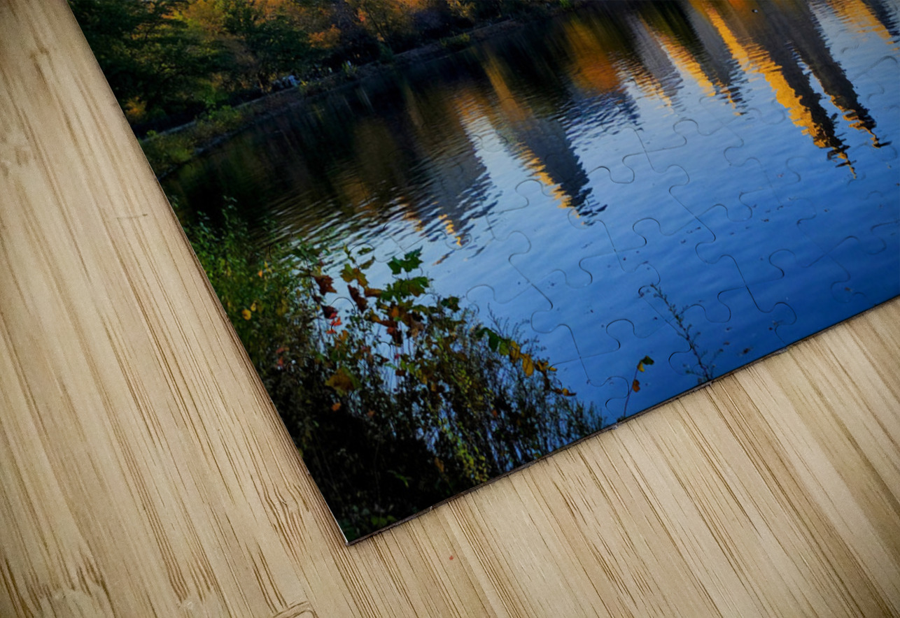 Urban Calm: Central Park View Click4Pix Puzzle