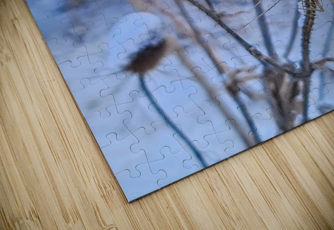 Snow Covered Prick  Winter Thistle Click4Pix Puzzle