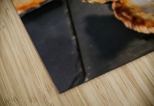 Shellbound Sonata Click4Pix puzzle