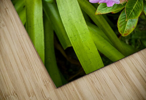 Green Rhythm Pink Pause Click4Pix puzzle