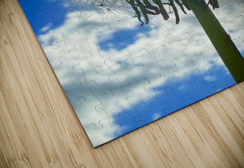 IMG 1740 Click4Pix puzzle