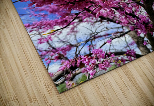 IMG 1517 Click4Pix puzzle