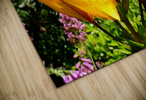 Bursting Beauty Click4Pix puzzle