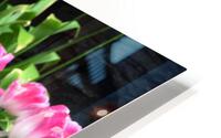 Tulips Are Better Than One C HD Metal print