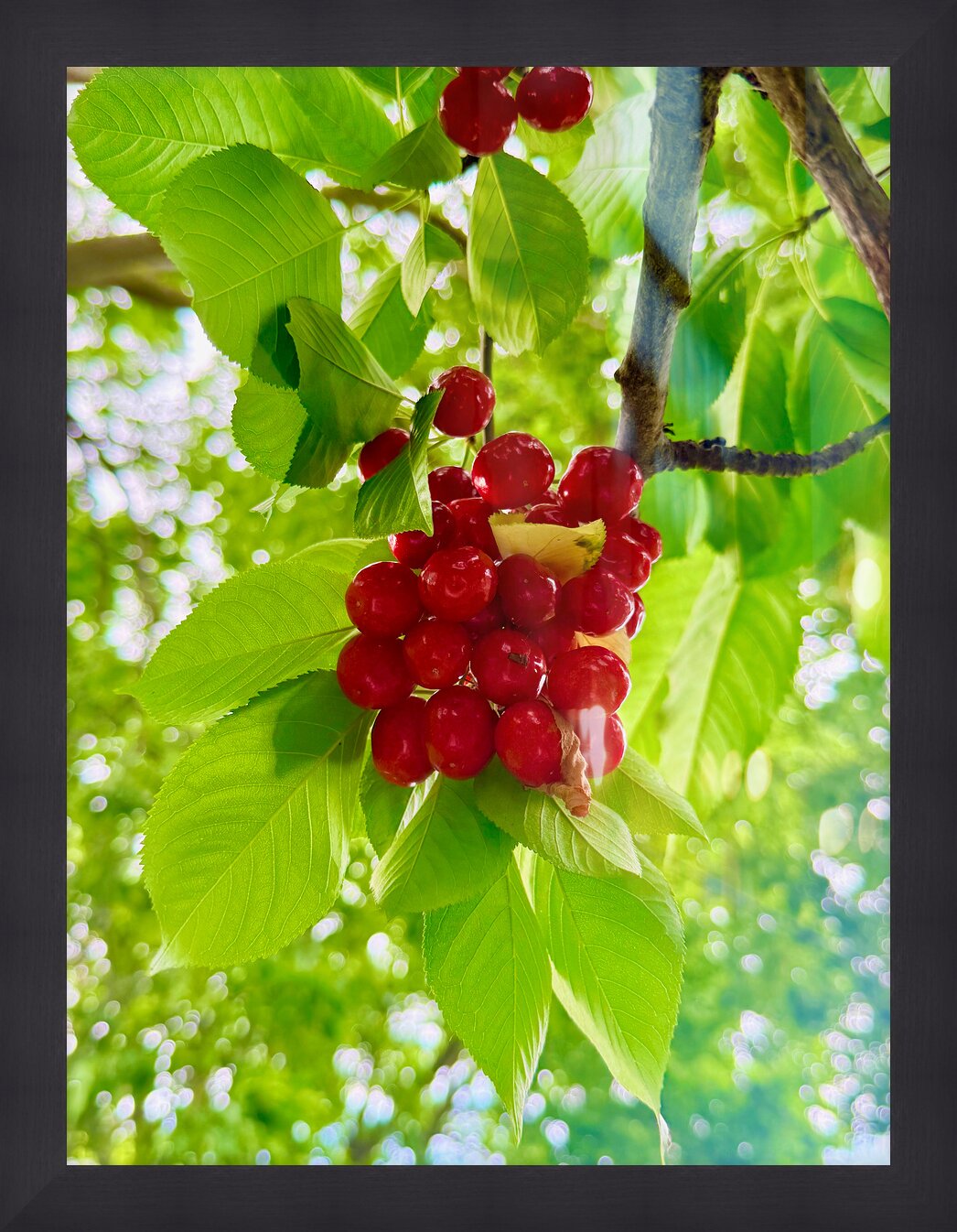 Impression de cadre personnalisé