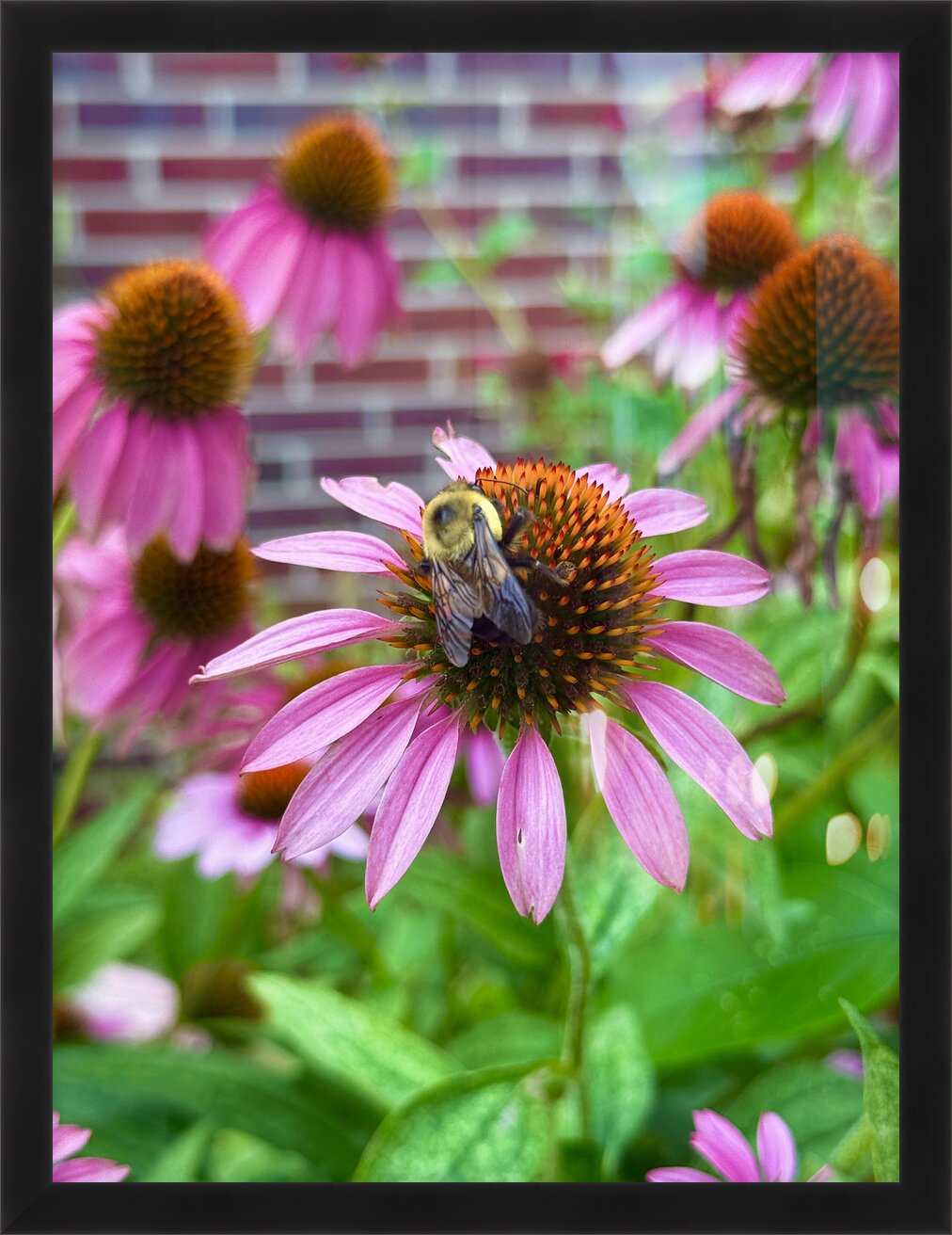 Impression de cadre personnalisé