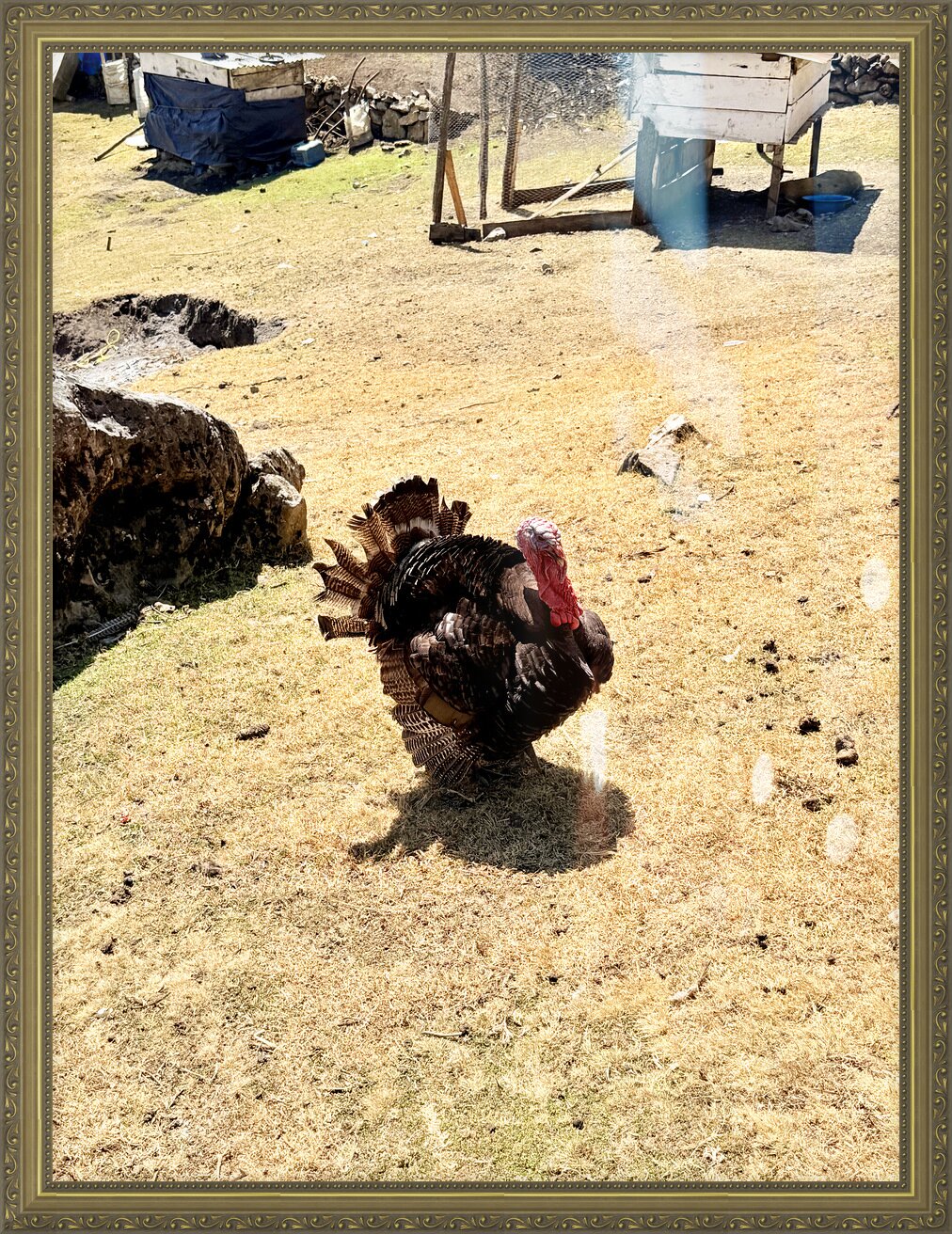 Impression de cadre personnalisé