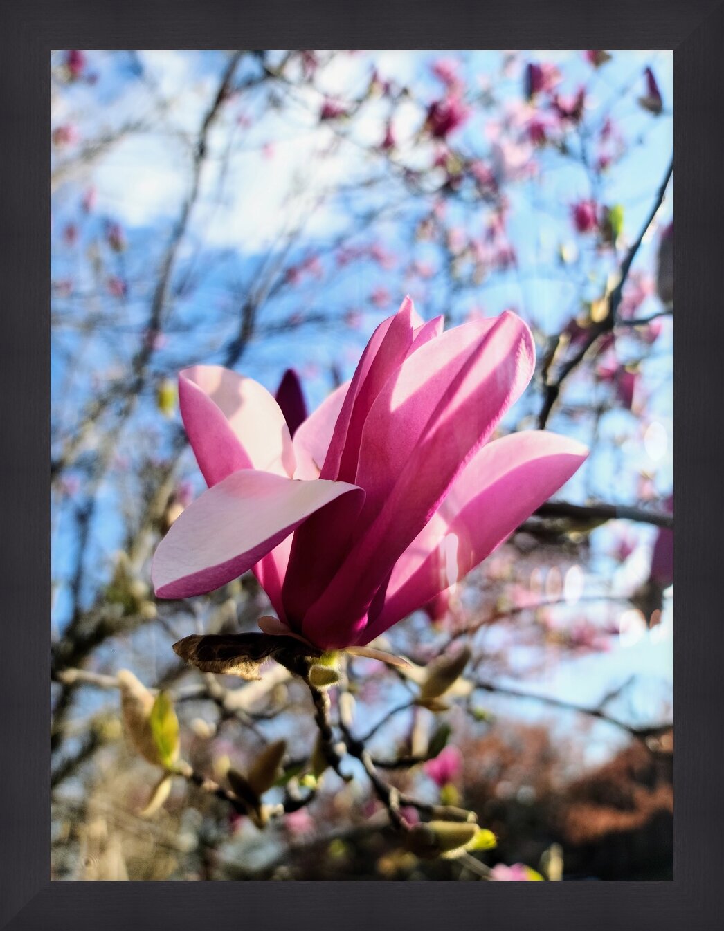 Impression de cadre personnalisé