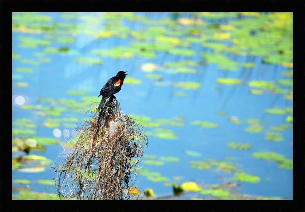 Impression de cadre personnalisé