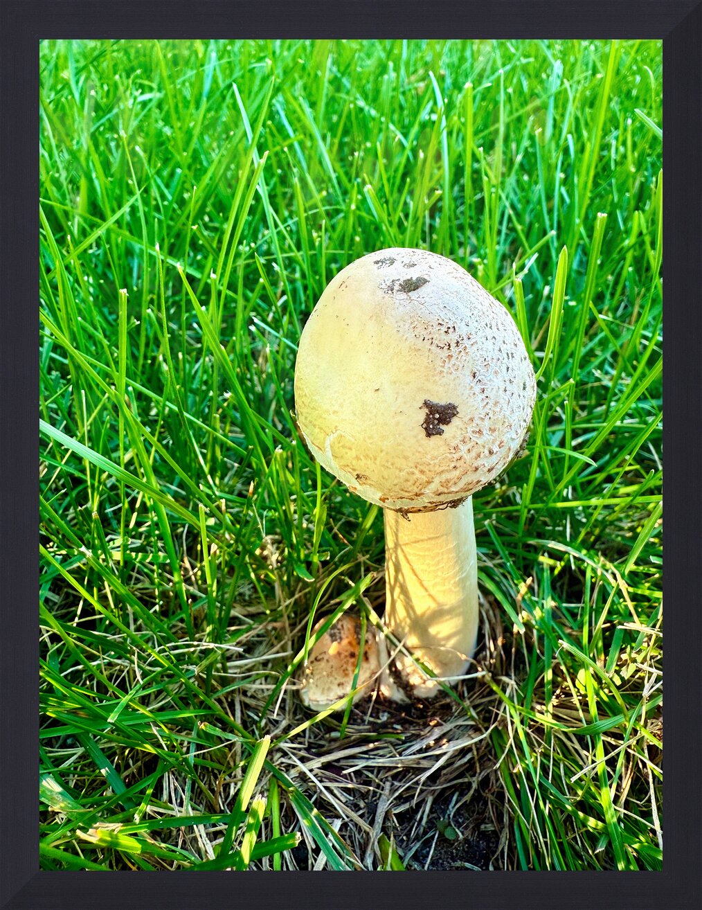 Impression de cadre personnalisé