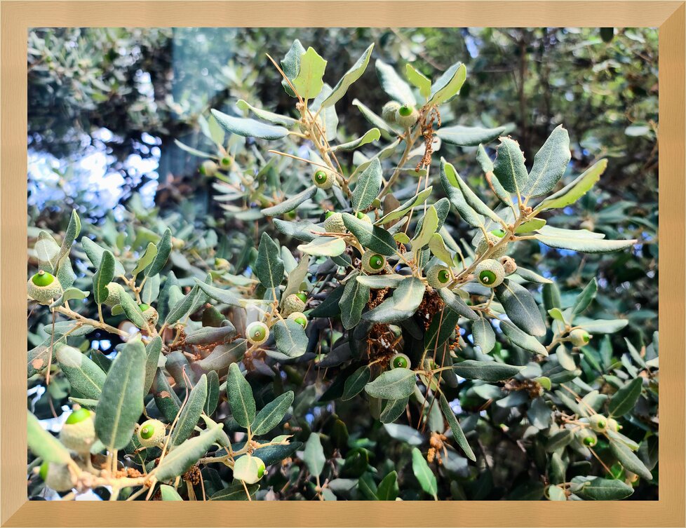 Impression de cadre personnalisé