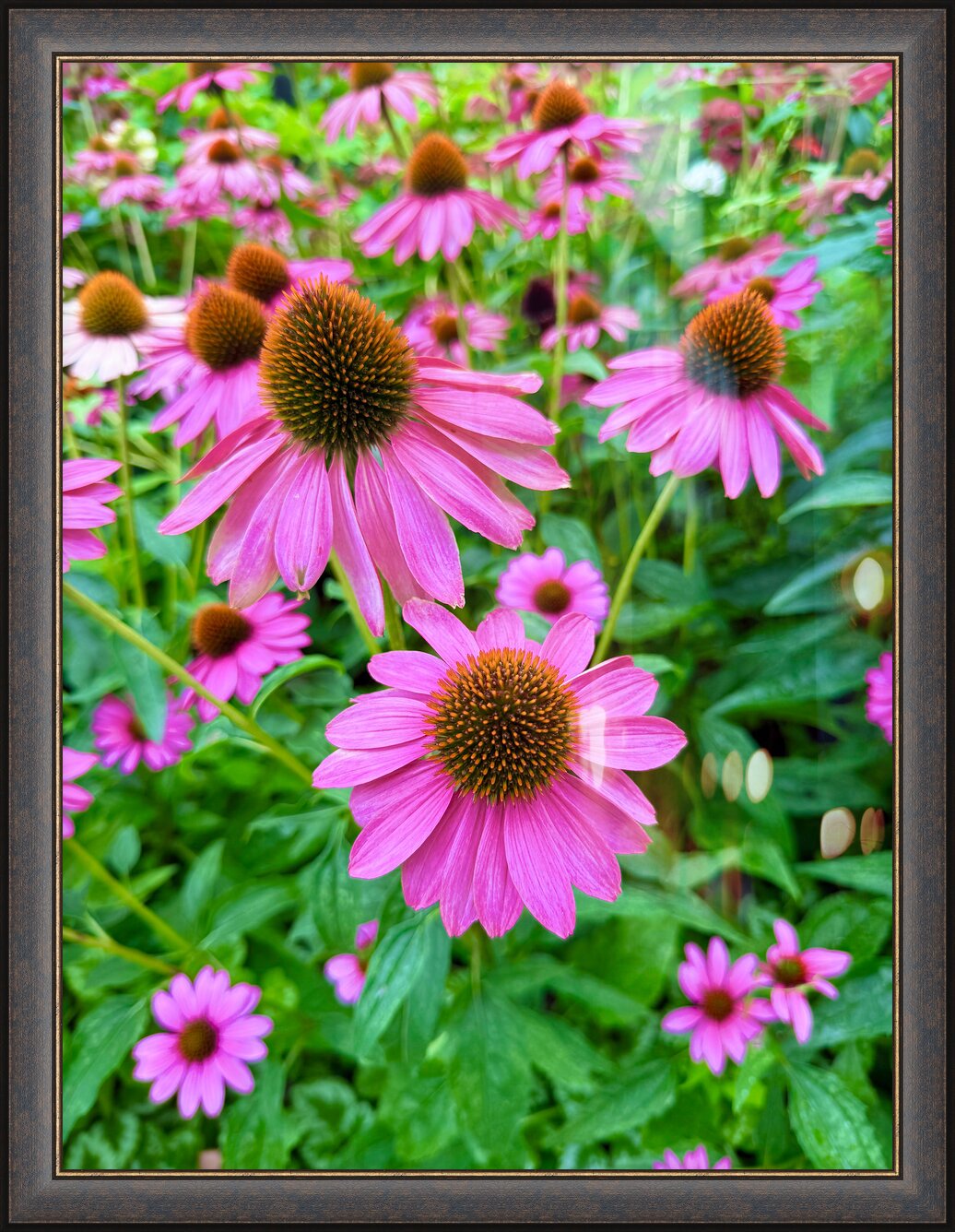 Impression de cadre personnalisé