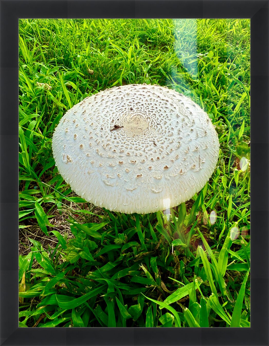 Impression de cadre personnalisé