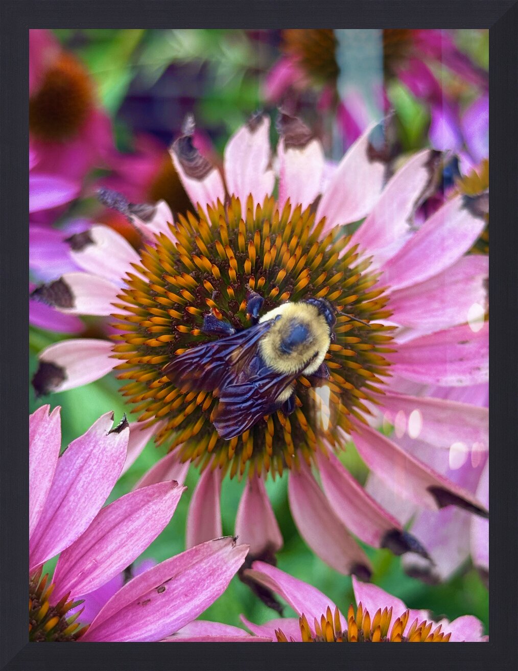 Impression de cadre personnalisé