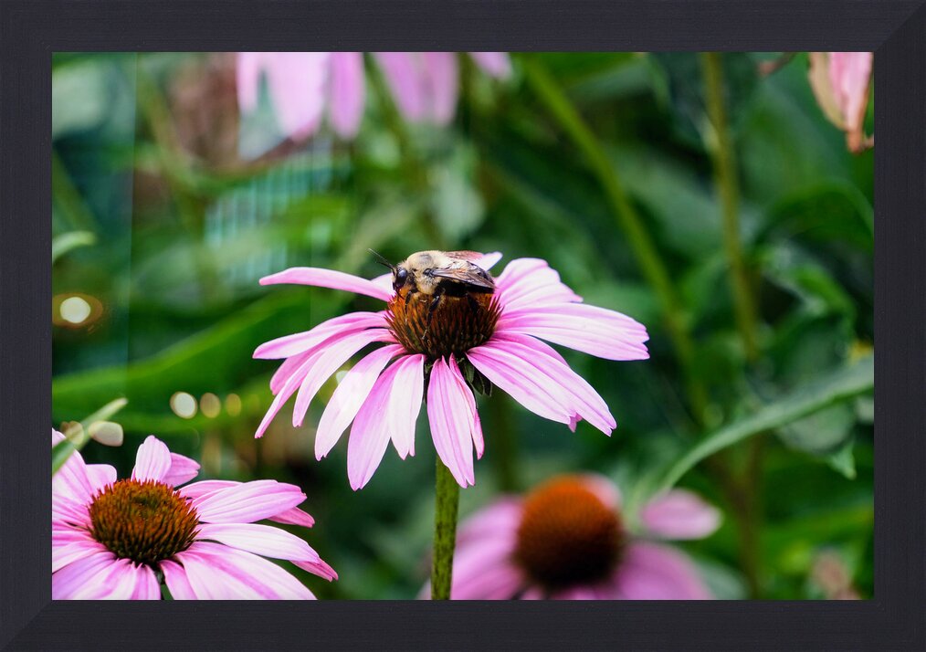 Impression de cadre personnalisé