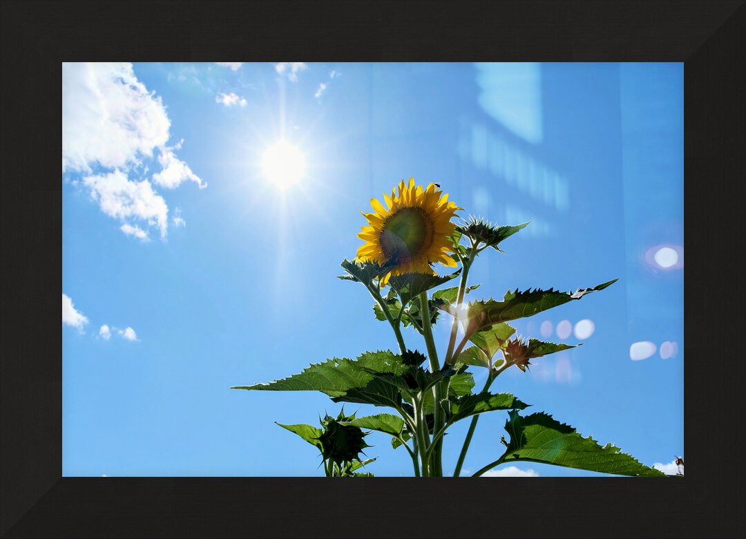 Impression de cadre personnalisé