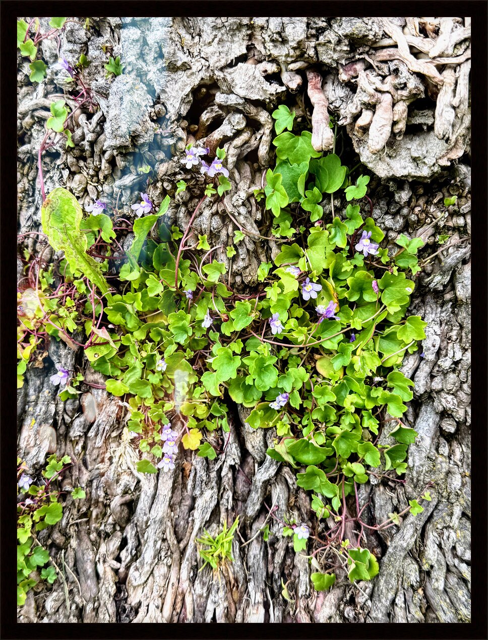 Impression de cadre personnalisé