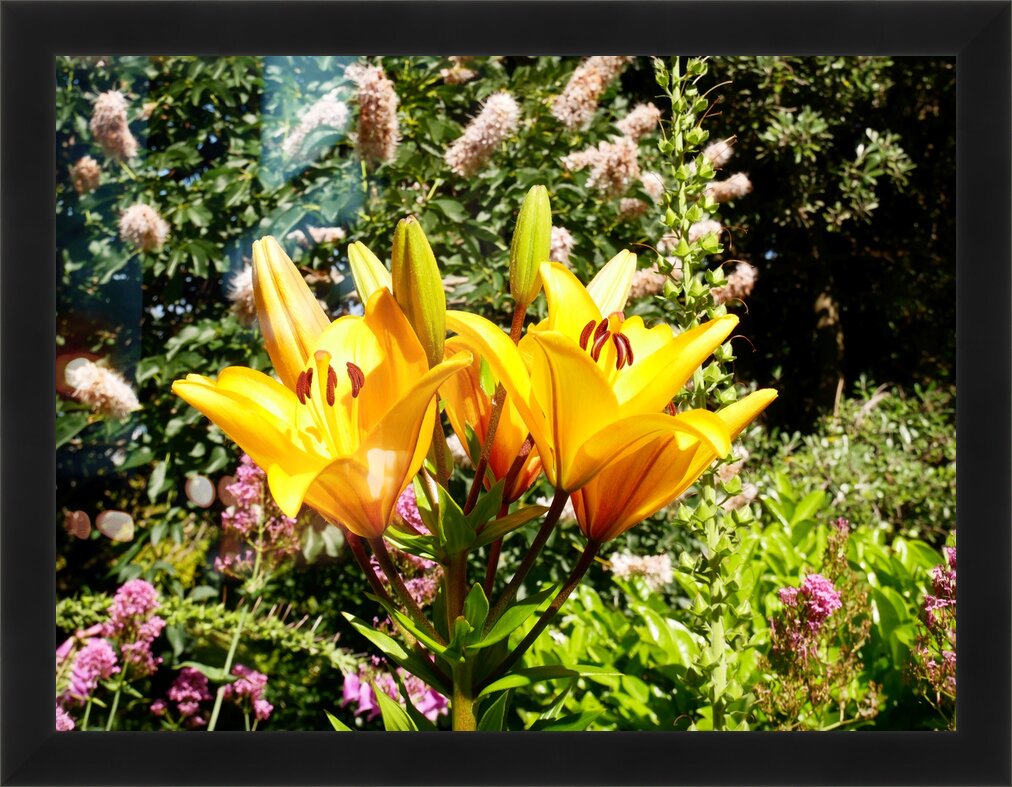 Impression de cadre personnalisé