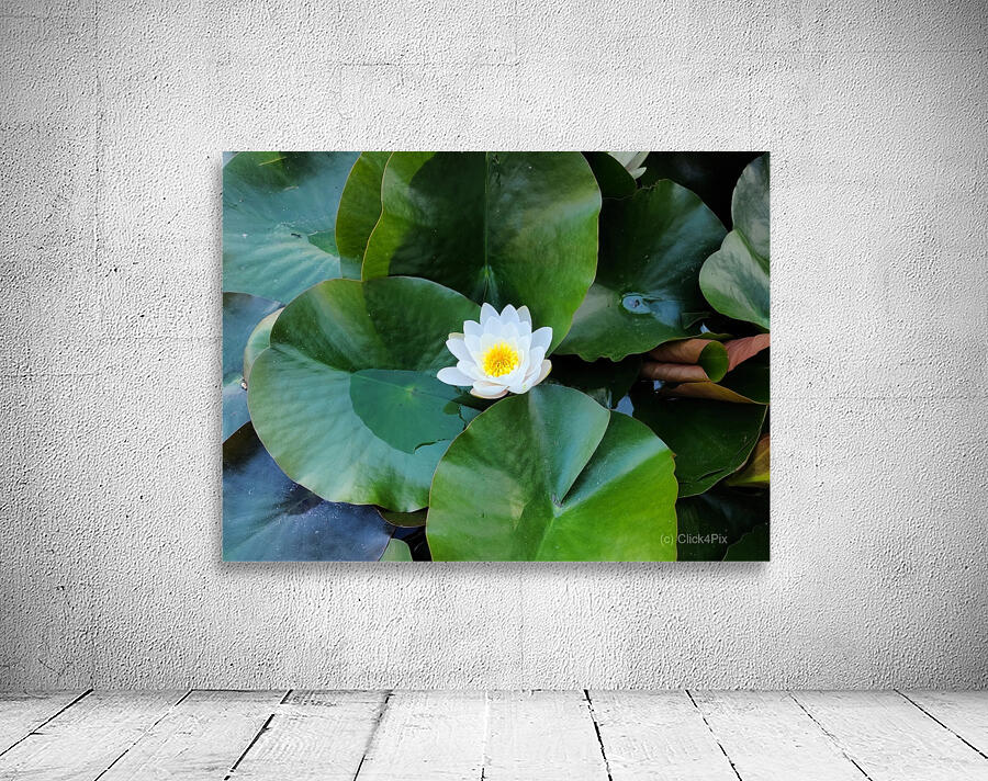 Emerald Cradle of Calm Wall Preview