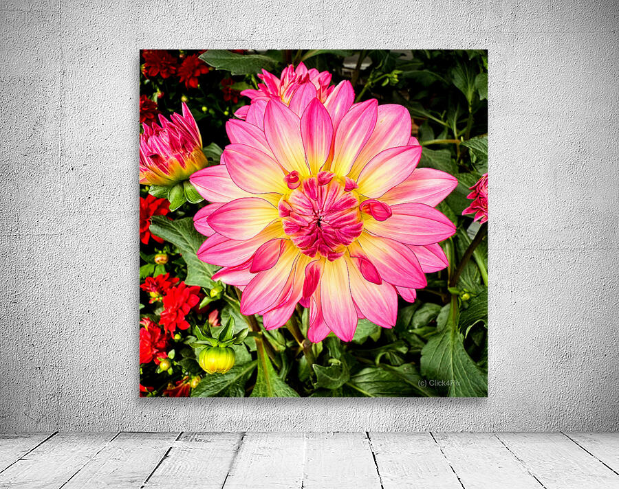 Petal Prism: Nature’s Geometry Wall Preview