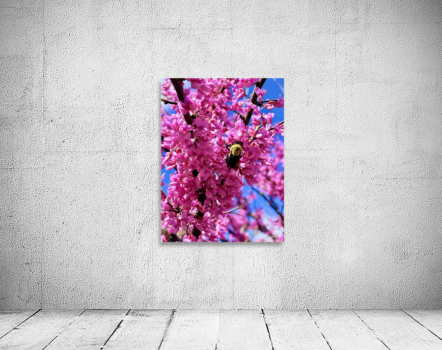 IMG 1696 Wall Preview