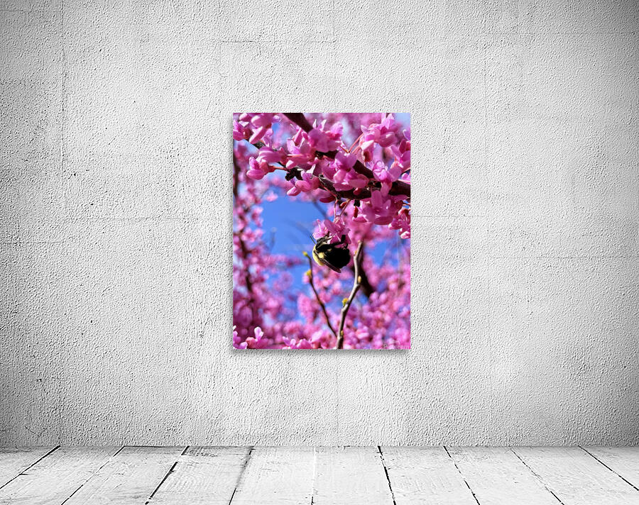 IMG 1648 Wall Preview