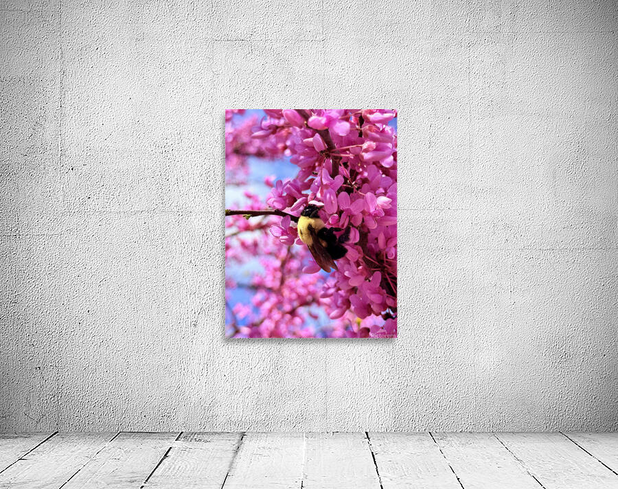 IMG 1671 Wall Preview