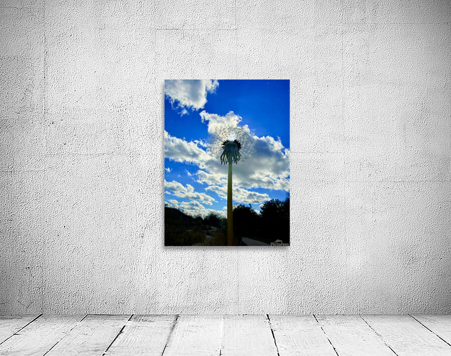 IMG 1755 Wall Preview