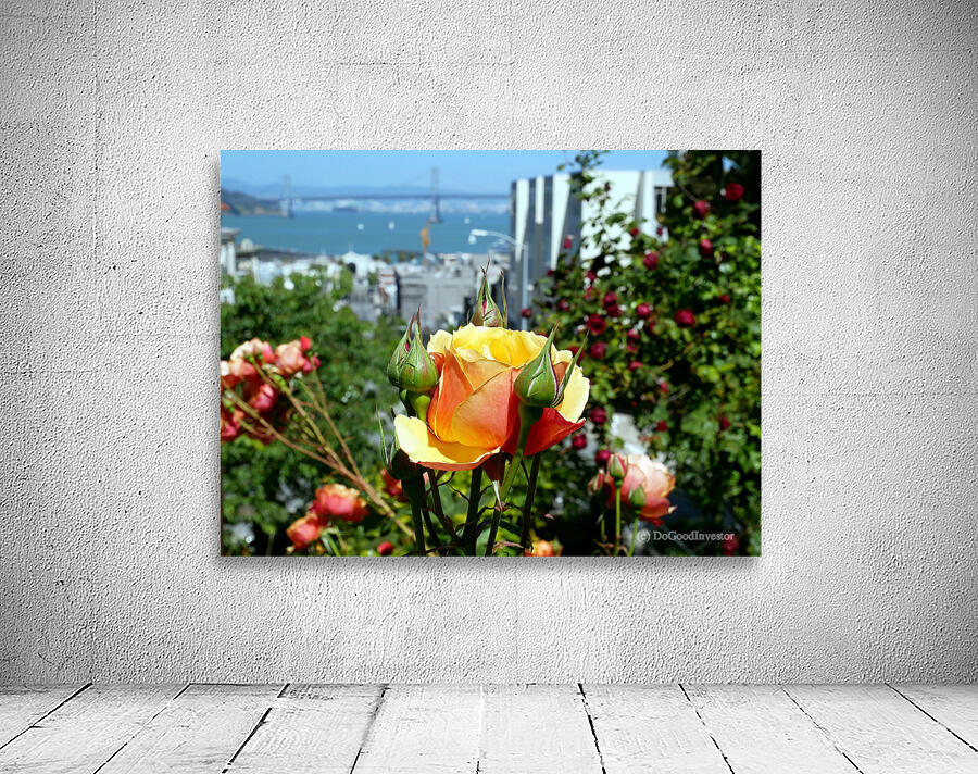 A City Rose Wall Preview