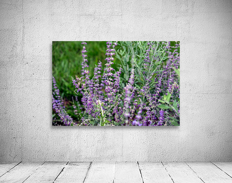 Towers of Lavender Wall Preview